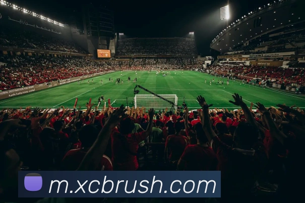 国际认证